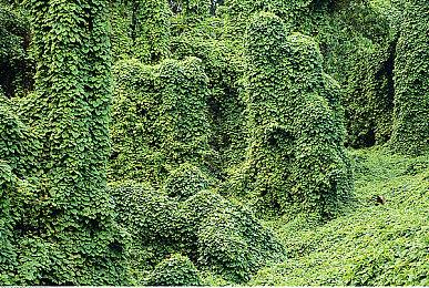 《小小梦魇》移动端上线预告 登陆IOS及安卓平台